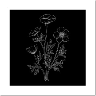 Buttercups Line Art Black Background Posters and Art